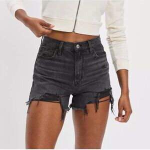 AE Denim High Waist '90s Boyfriend Short Size 6